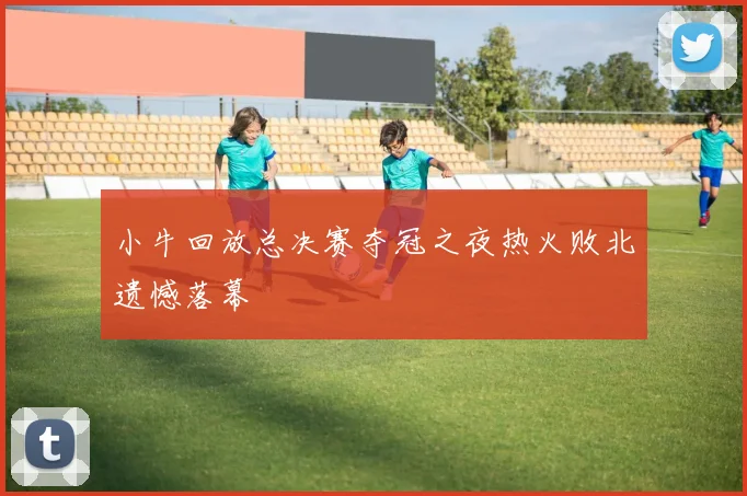 小牛回放总决赛夺冠之夜热火败北遗憾落幕