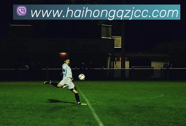 多媒体互动体验